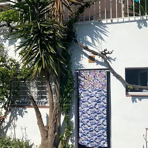 Estudio Boho-chic Nuevo Bien Ubicado Appartement